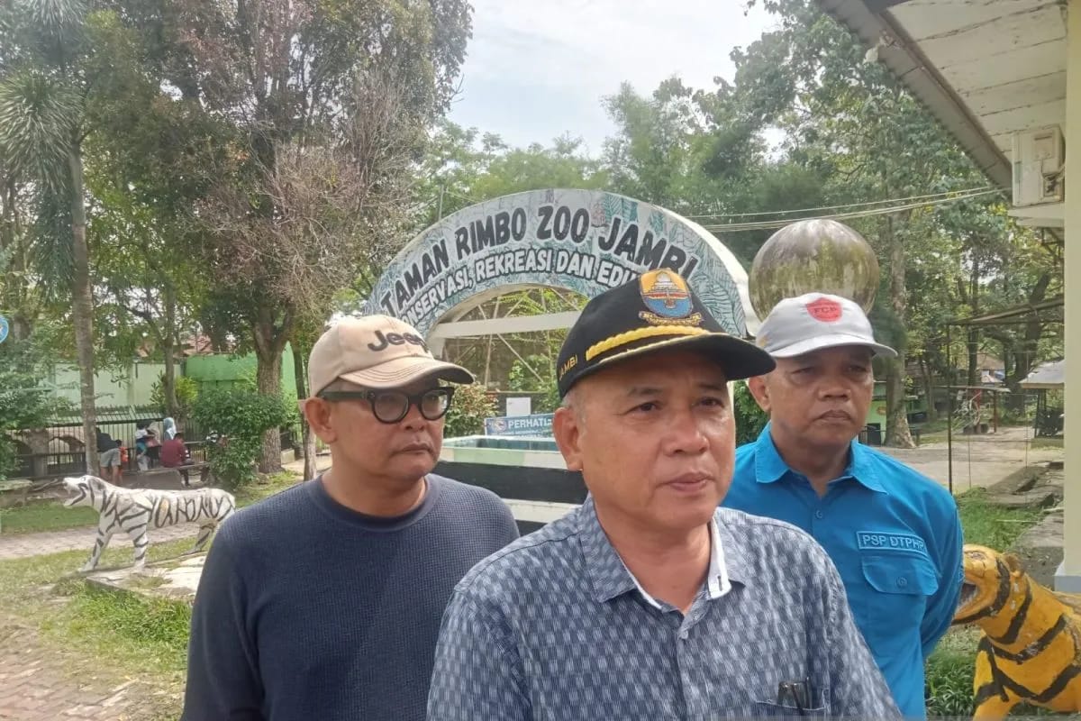 Jambi Akan Mendatangkan Harimau Benggala Pengganti Si 'Uni' yang Mati