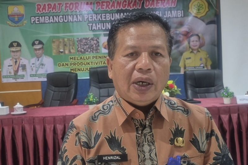 Provinsi Jambi Terima Program Peremajaan Sawit Rakyat Seluas 7.800 Ha