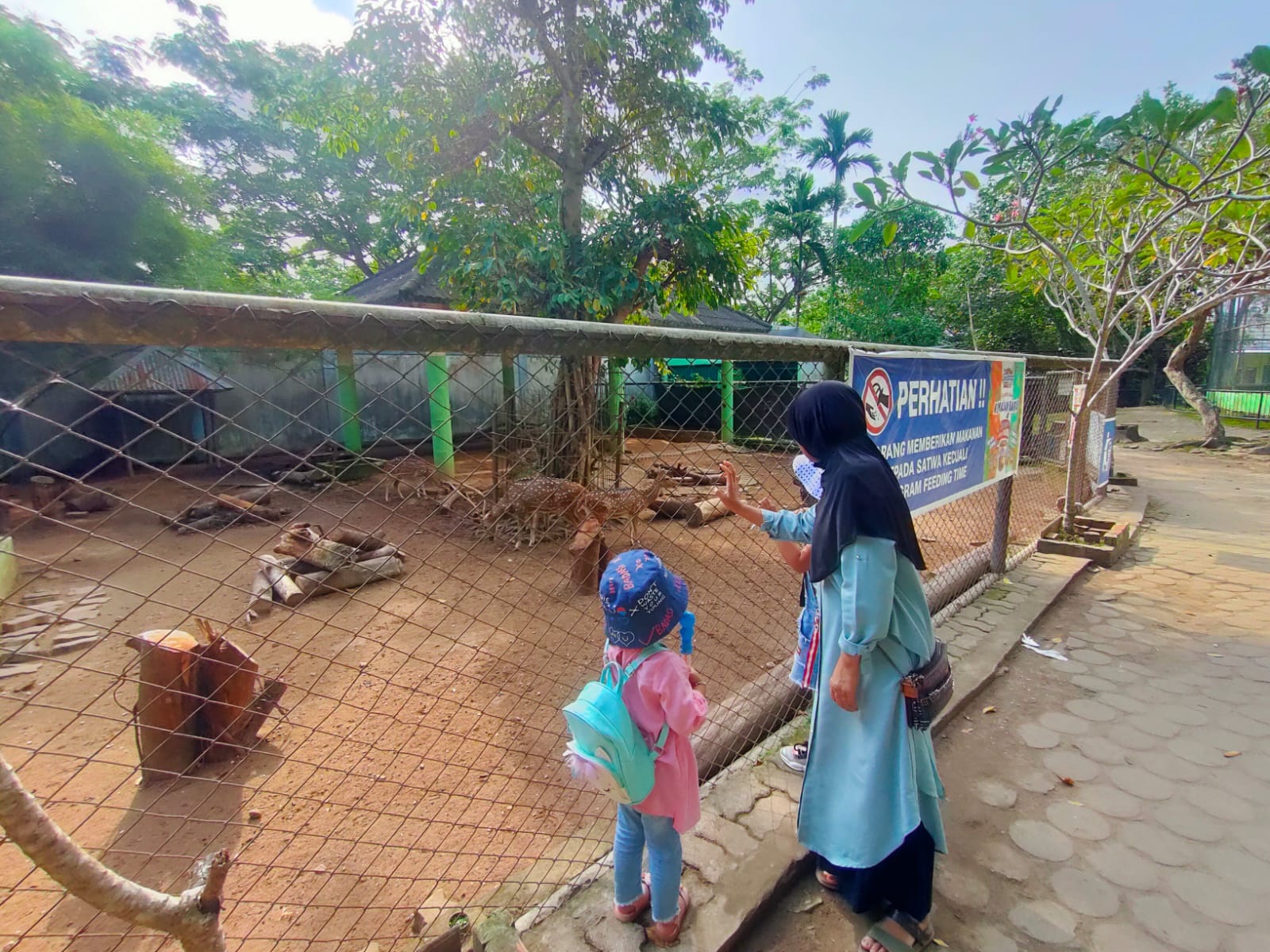 Bayi Tapir Tambah Koleksi Taman Rimba