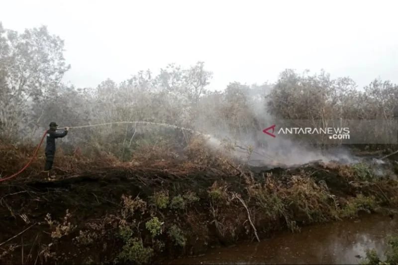 Luas Karhutla Aceh Barat Sudah Capai 5.000 Meter Persegi