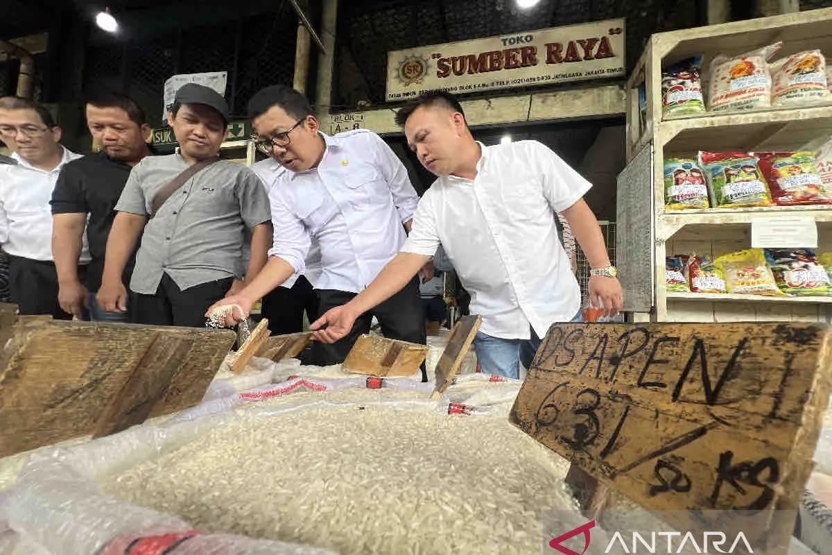 Kepala Bapanas Sebut Beras Premium Tidak Dikenakan PPN 12 Persen