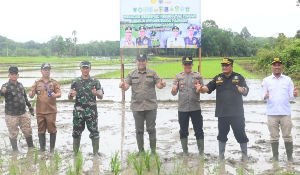 Bupati H M Syukur dan Forkopimda Tanam Padi Sawah Serentak