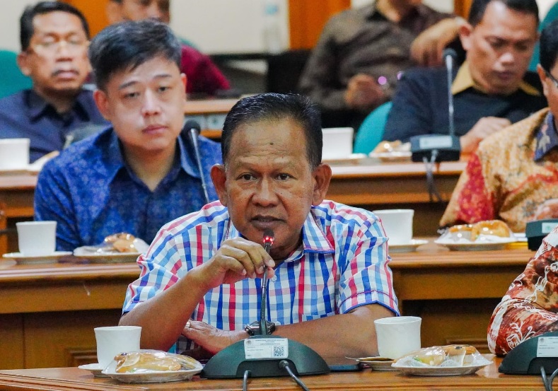 Wabup Merangin H A Khafidh Usulkan Geothermal Graha Nyabu ke Menhut