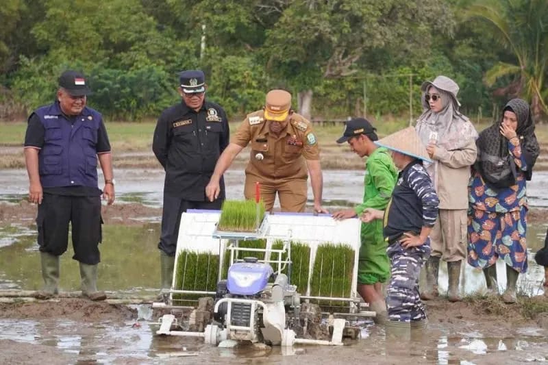 Pemkab Simeulue Tanam Padi Gunakan Alat Modern