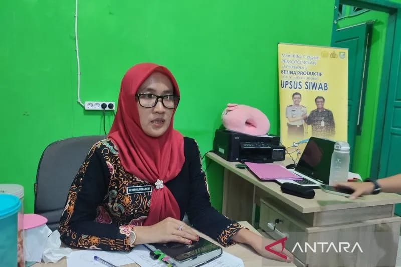 Pemkot Bengkulu Imbau Peternak Jaga Kebersihan Cegah Penyakit Jembrana