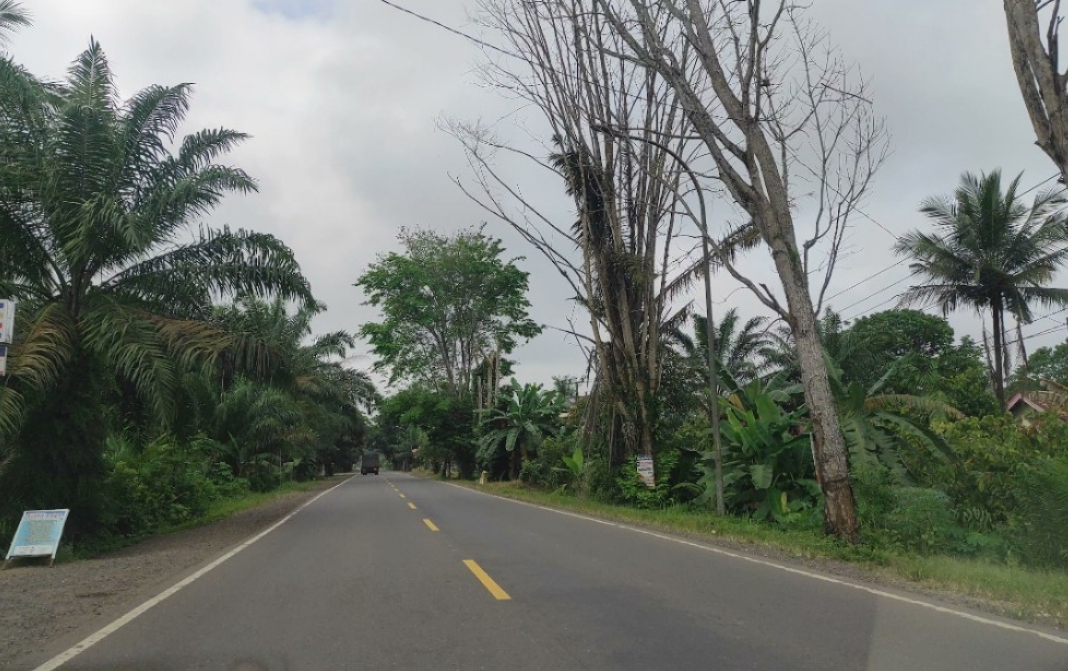 Warga Batanghari Lega Jalanan Sepi Bebas Macet Truk Batubara
