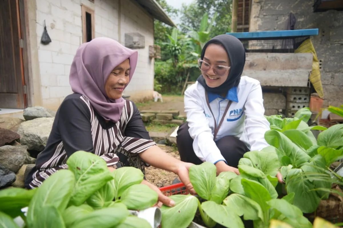 PNM Tingkatkan Kesejahteraan Masyarakat Lewat Program Rumah Pangan