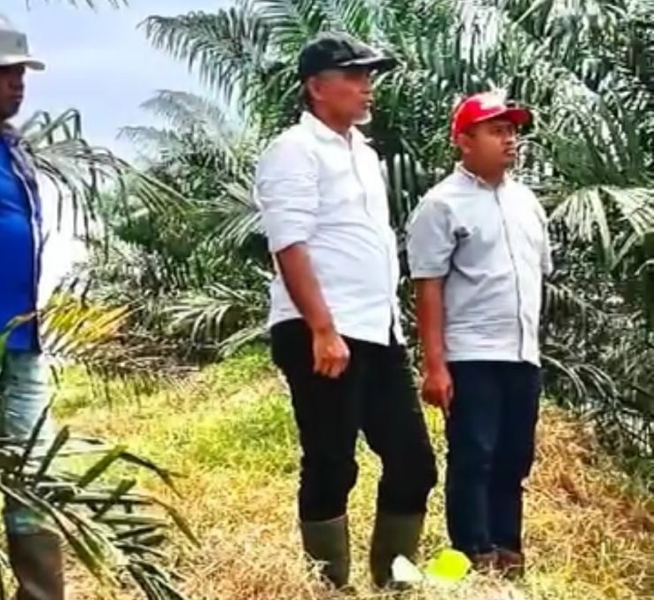 Evaluasi Kegiatan Pemeliharaan Tanaman, Region Head PTPN IV Regional 4 Monev ke Kebun Durian Luncuk
