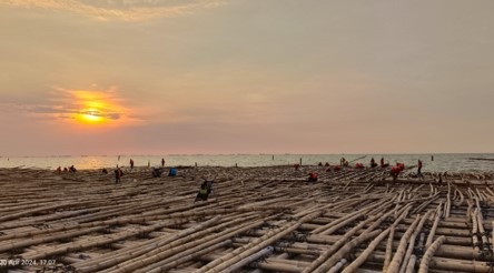 Pembangunan Jalan Tol Semarang-Sayung Dikebut, Berada Diatas Laut Gunakan Matras Bambu