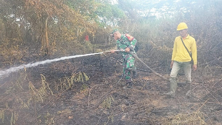 Lahan Seluas 10 Hektar di Wilayah Jambi Timur Terbakar 