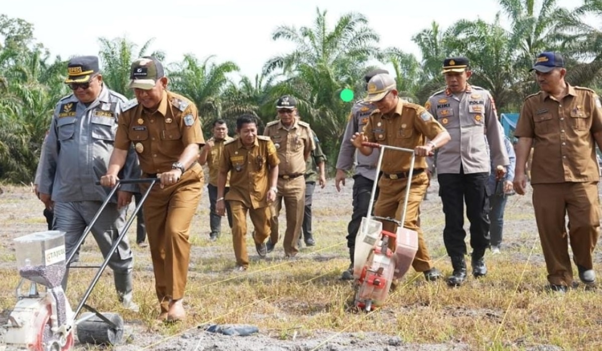 Bupati Merangin Bersama Unsur Forkopimda Tanam Jagung di Desa Mentawak