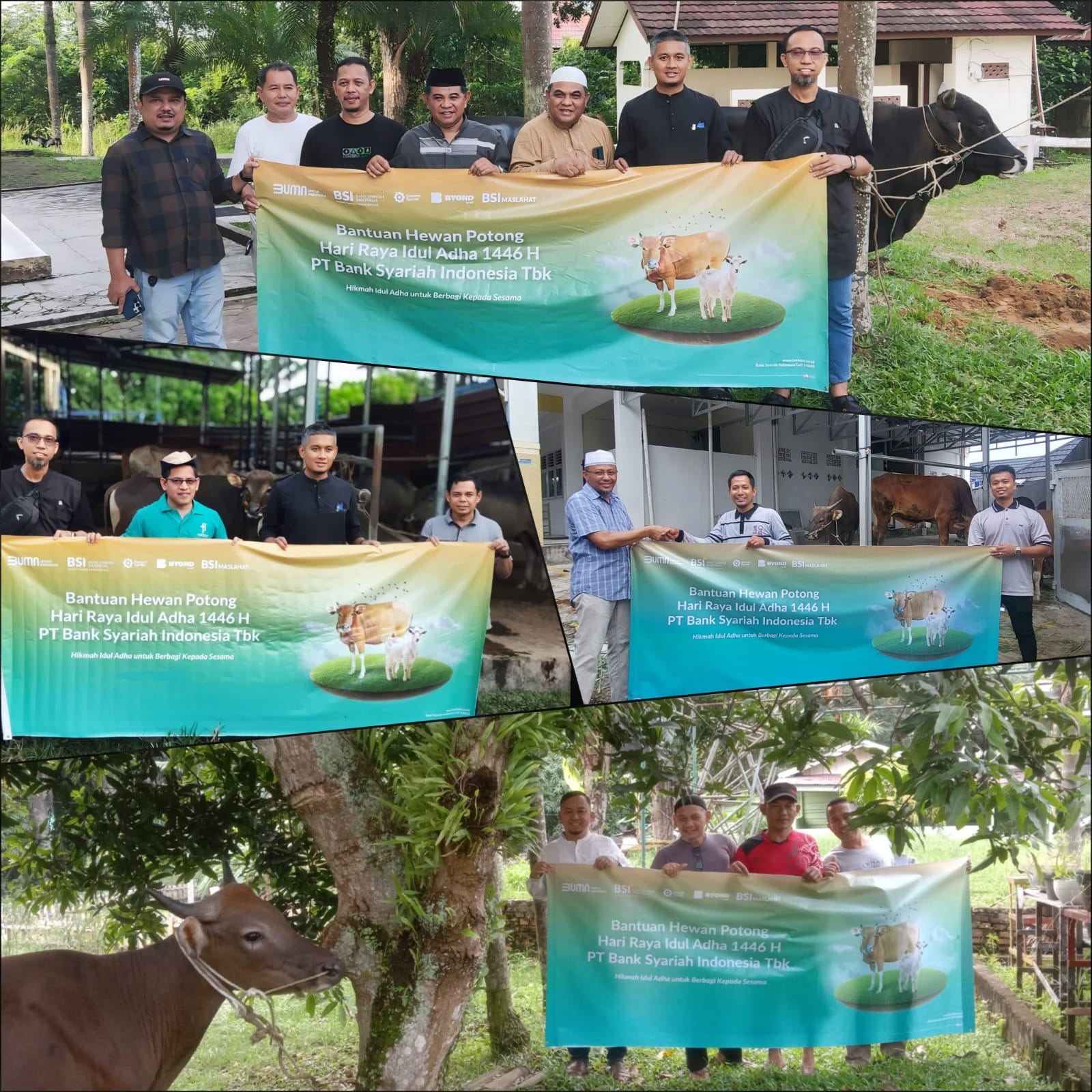 Idul Adha 1446 H, BSI Regional Palembang Salurkan 65 Hewan Kurban untuk Masyarakat 