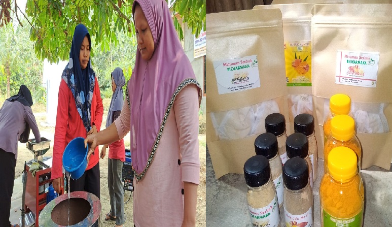 Ketika Kunyit Menggerakkan Roda Ekonomi Berkat Sentuhan BRIlian