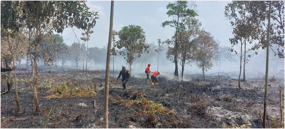 Karhutla di Teluk Dawan Berhasil Dipadamkan