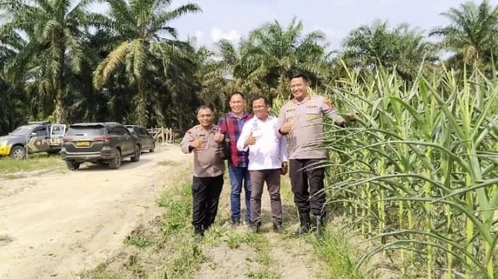 Tinjau Ketahanan Pangan, AKBP Wendi Harap Jadi Program Berkelanjutan