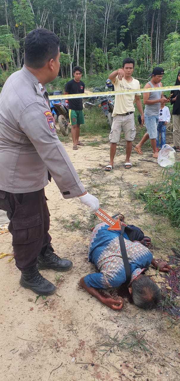 Pelaku Pembunuhan Di Desa Teluk Kasai Rambahan Berhasil Di Bekuk Polisi