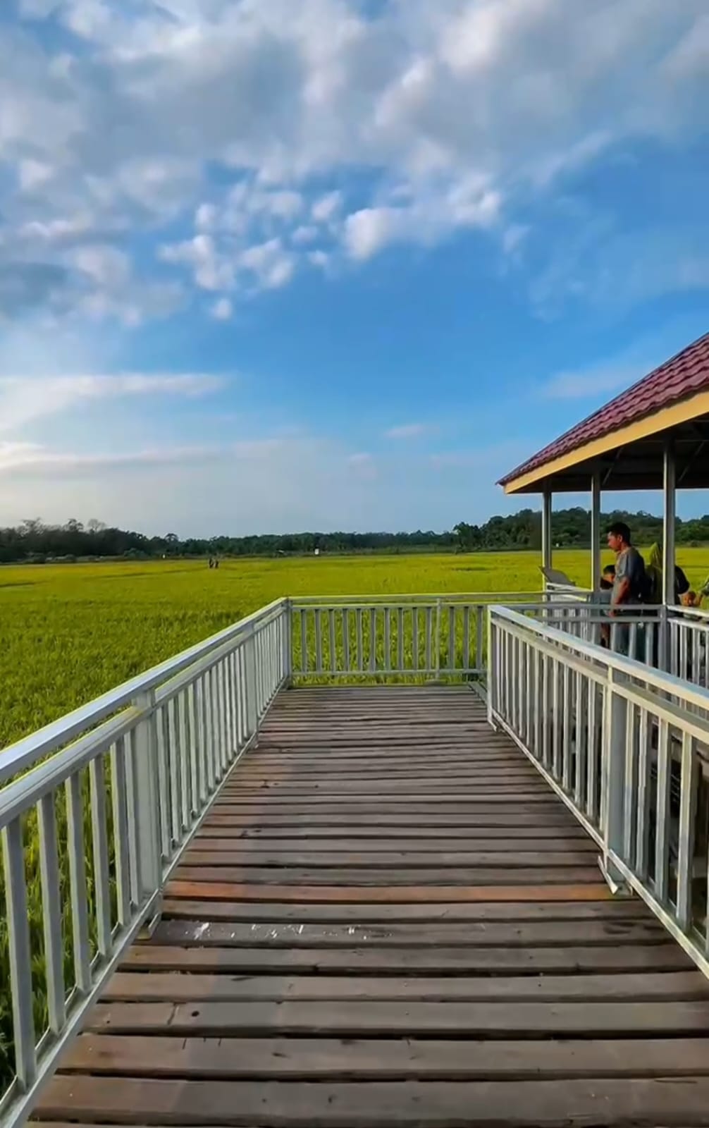 Pengembangan Kampung Wisata Agroeduwisata Saung Padi