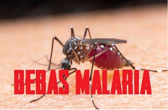 Pemerintah Optimis, Tahun Depan Semua Daerah Bebas Malaria