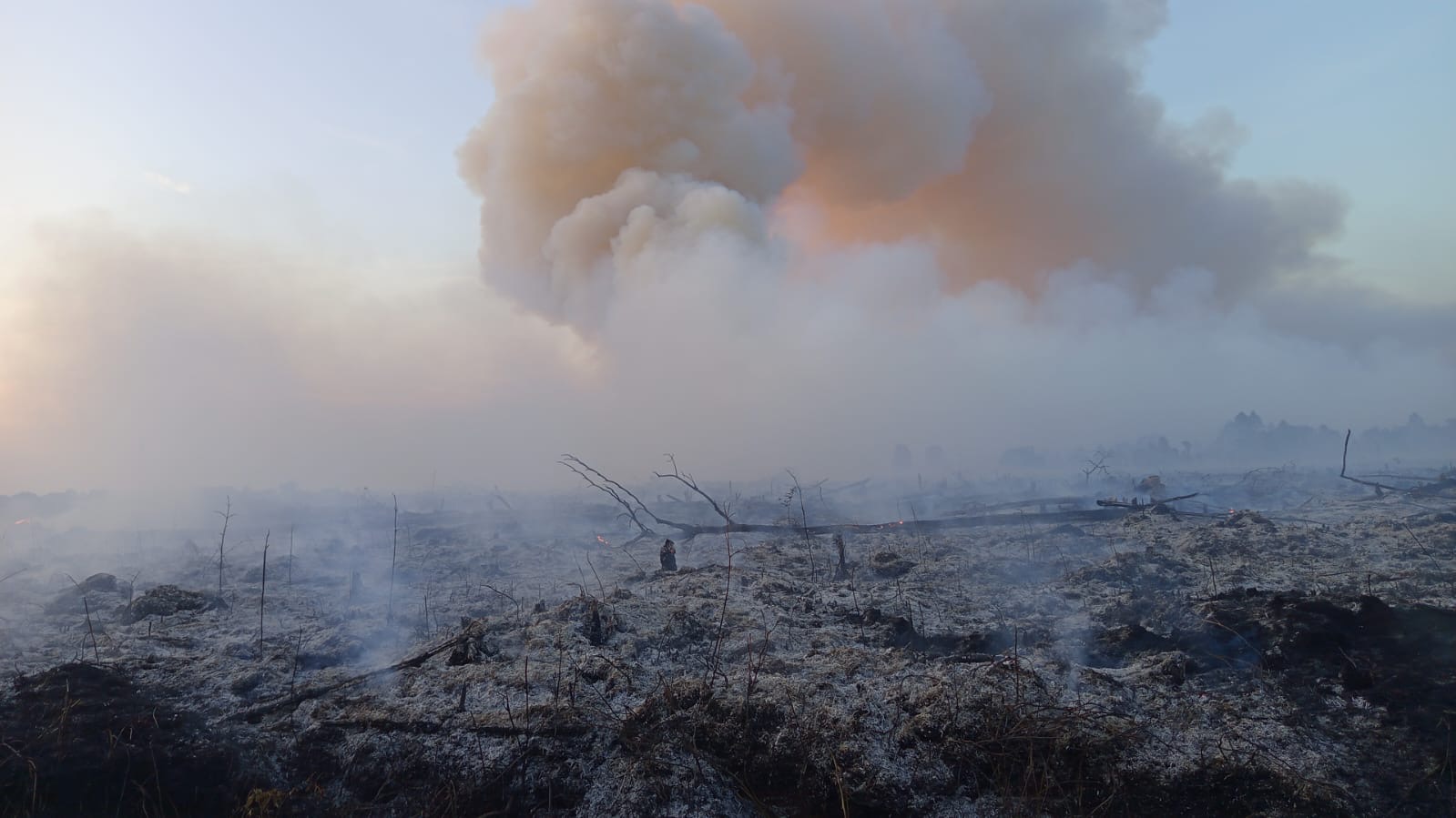 Puluhan Hektare Lahan Gambut di Sungai Gelam Terbakar