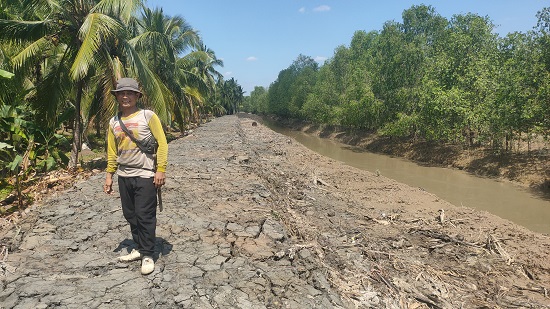 Petani Kelapa di Tanjabtim Gembira Pemerintah Lakukan Normalisasi Sungai