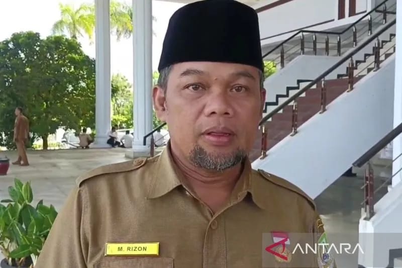 Harga TBS Sawit di Bengkulu Rp 2.893 Ribu Per Kg Periode Juni 2025