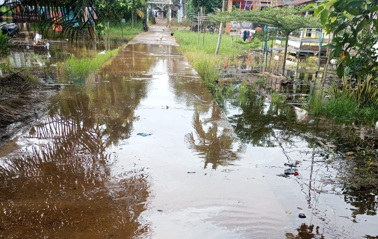 Mulai Musim Banjir, Warga Diimbau Waspada Serangan Buaya