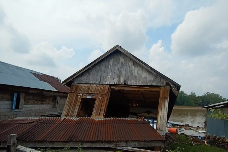 Akibat Abrasi Sungai, Tiga Rumah di Pesisir Tanjabtim Jambi Amblas