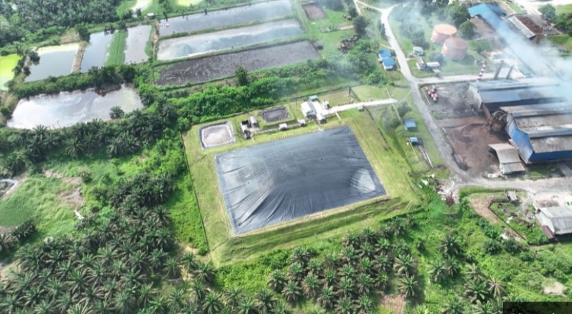 PTPN IV : 150 Ribu Bisa Beli Karbon Selamatkan Lingkungan