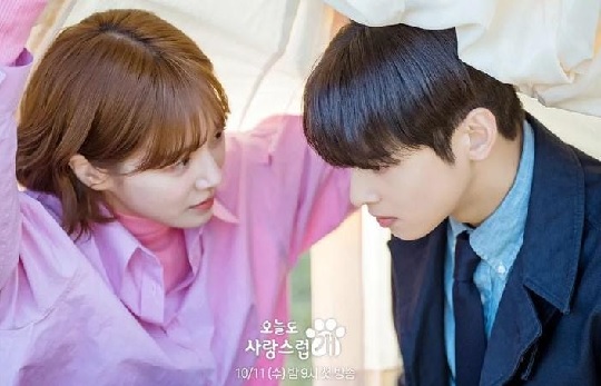 Drama Korea Minggu Ini: Cerita Romantis Komedi 'A Good Day to Be a Dog' Dibintangi Cha Eun-woo 