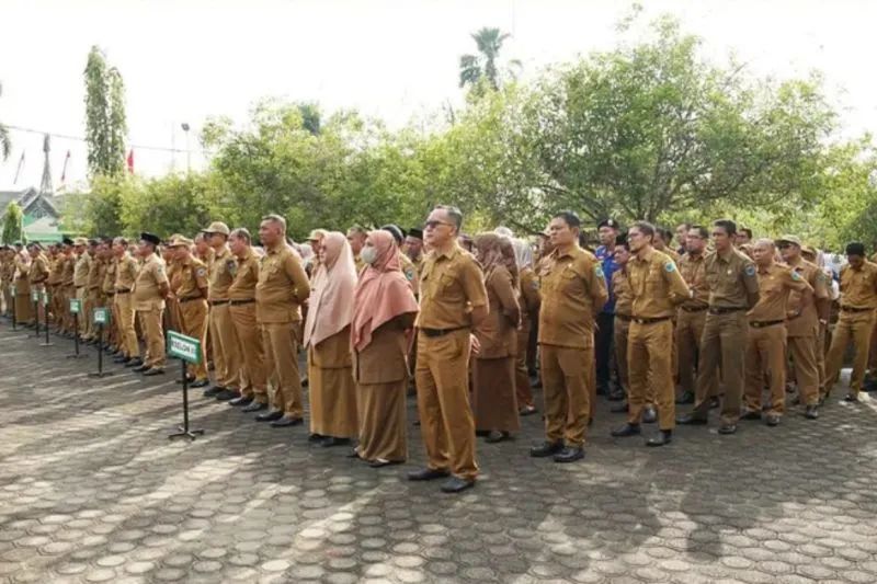 Tahun Ini, Pemkab Batang Hari Buka Ratusan Formasi CASN