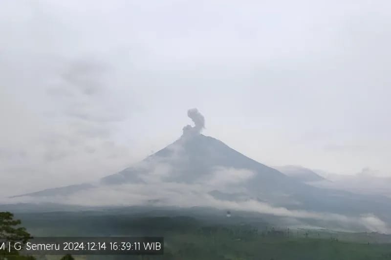 Gunung Semeru Kembali Erupsi, Letusan Setinggi 900 Meter