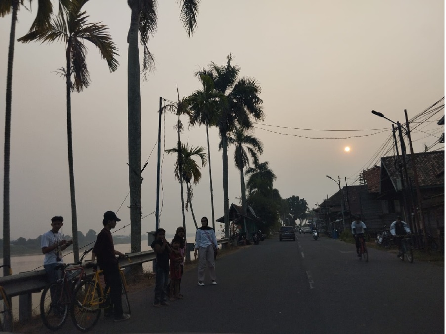 Kabut Asap Makin Pekat Selimuti Kota Jambi, Udara Masuk Kategori Sangat Tidak Sehat