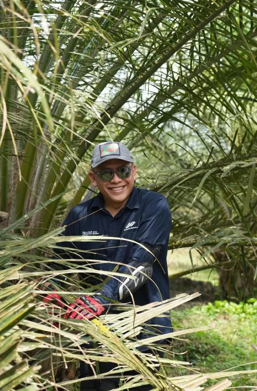 Berikut Langkah PalmCo Perkuat Peran Strategis Jaga ketahanan Pangan Nasional
