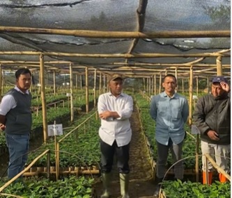 Region Head PTPN IV Region 4 Jambi-Sumbar Kunjungi Unit Usaha Kebun & Pabrik Teh Kayu Aro