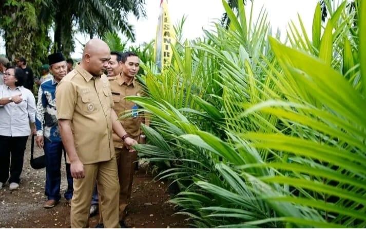 Pemkab Tebo Luncurkan Program Pro Best Tebo Maju