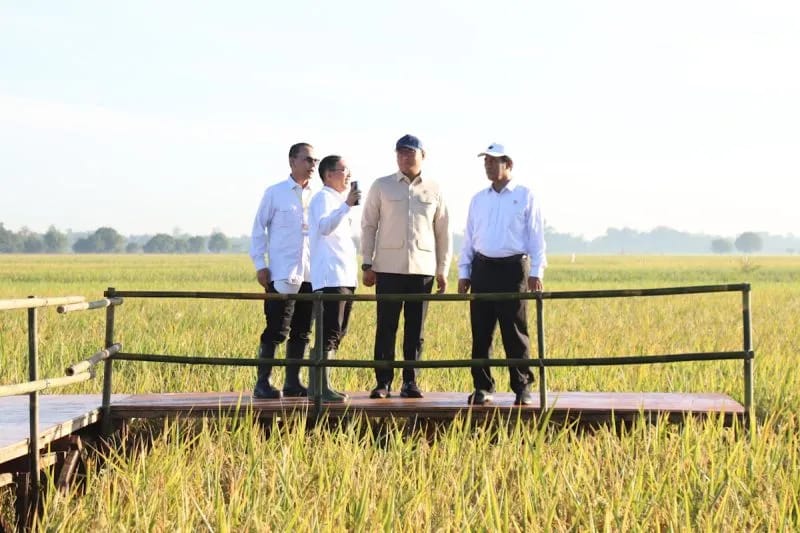Mentan Optimistis Indonesia Segera Wujudkan Swasembada Beras
