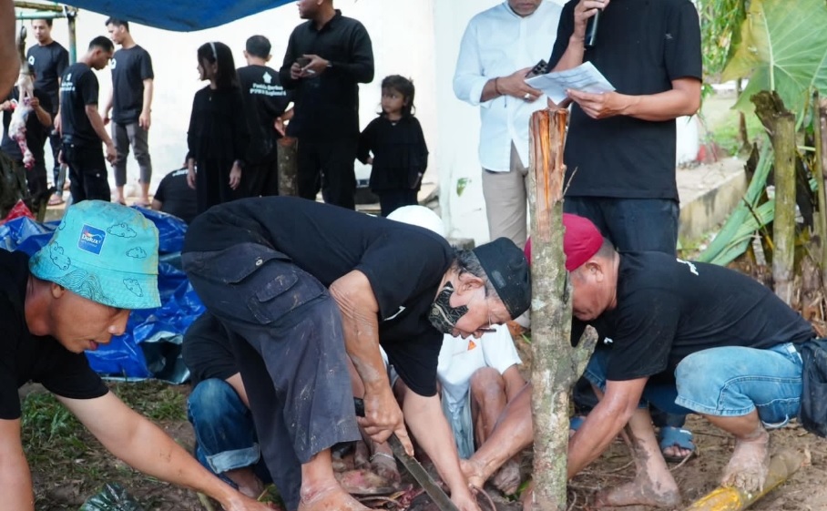  Idul Adha 1446 H, PTPN IV Regional 4 Jambi-Sumbar Potong 131 Hewan Kurban 