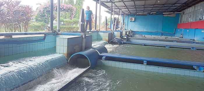 Debit Sungai Batanghari Terus Menyusut, Pasokan Air Bersih Masih Aman