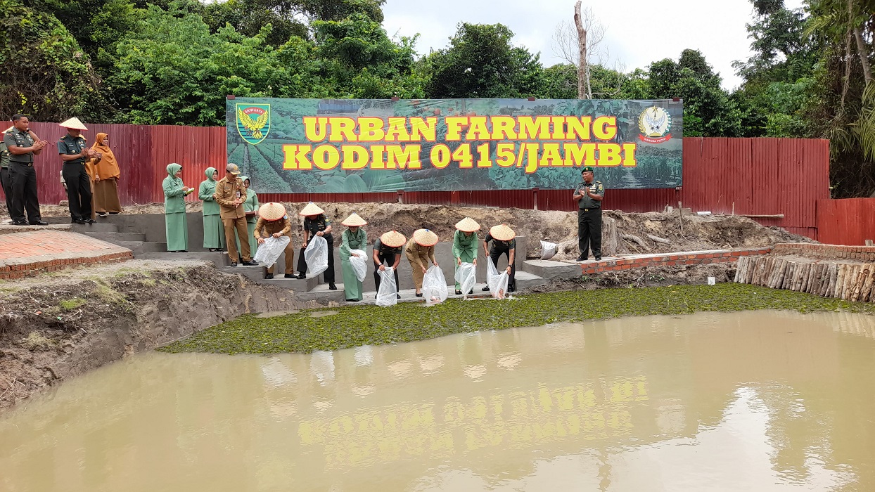 Danrem 042/Gapu Tinjau Urban Farming Kodim 0415/Jambi, Dorong Ketahanan Pangan Kota