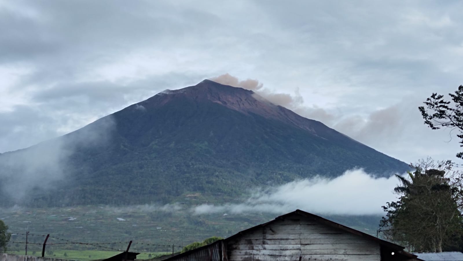Gunung Kerinci Hari Kembali Erupsi, Puluhan Hektare Lahan Kena Abu Vulkanik