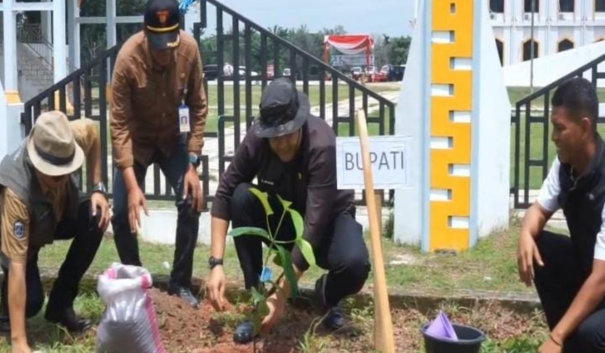 Libatkan Generasi Muda, Merangin Tanam 4.000 Pohon Serentak bersama Menteri Lingkungan Hidup