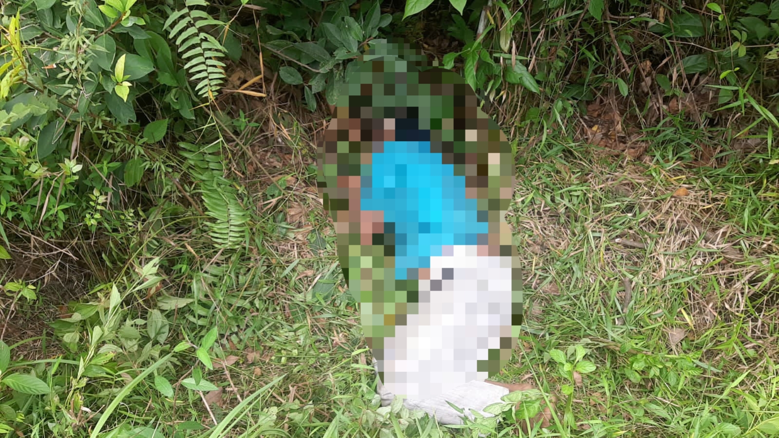 Mayat Misterius Ditemukan di Semak-semak Sengeti, Polisi Selidiki Penyebab Kematian