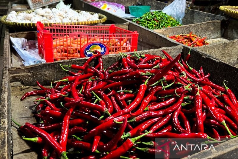 Harga Sembako Turun, Cabai Rawit Turun Jadi Rp42.548/KG, Bawang Merah Rp43.973/KG