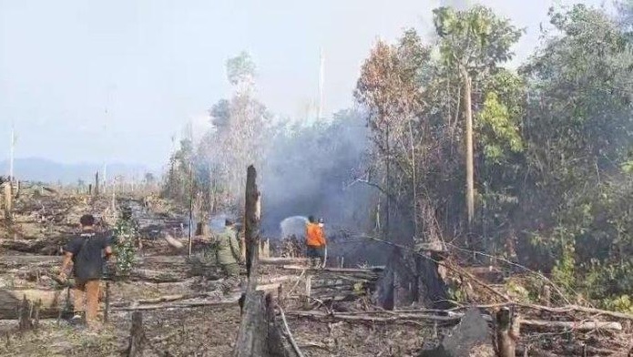 Kawasan Taman Nasional Bukit Tigapuluh Terbakar