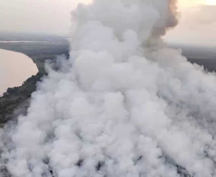 Ratusan Hektare Hutan dan Lahan Terbakar