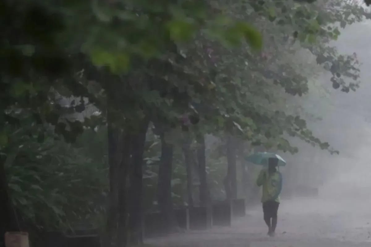 BMKG Prakirakan Sebagian Besar Indonesia Hujan Ringan
