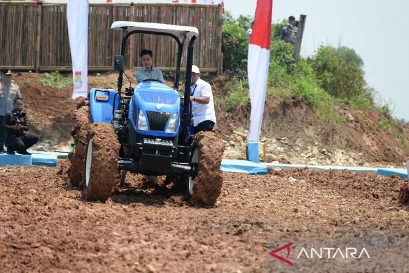 Wapres Dorong Pabrik Pakan di Banten Jadi 'Off Taker' Hasil Panen Tani 