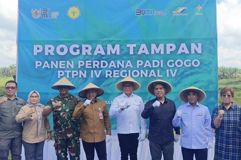Kementan Apresiasi PTPN IV PalmCo dan RSI Panen Padi di Lahan PSR