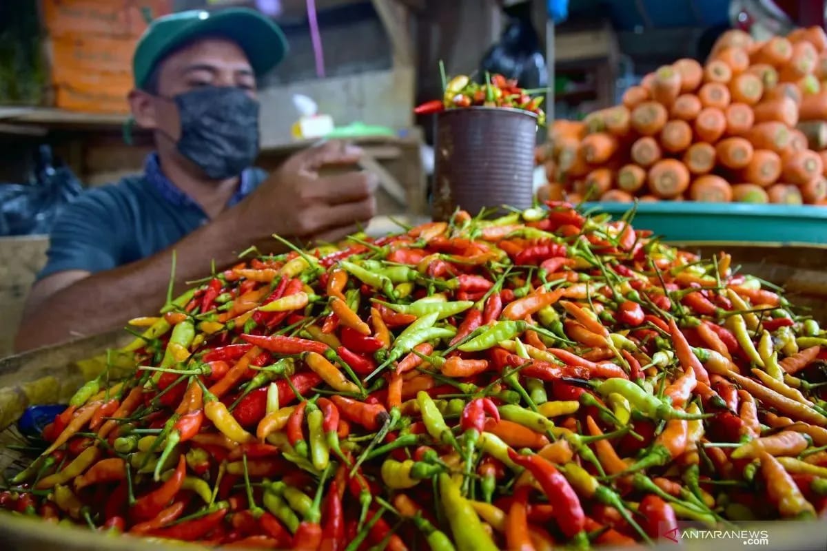 Harga Cabai Rawit pada Minggu Rp91.100/kg, Bawang Merah Rp39.550/kg