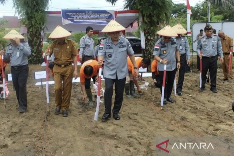 Meningkatkan Kemandirian,  Lapas Bangkinang Riau Sulap Lahan Kosong Jadi Ladang Warga Binaan